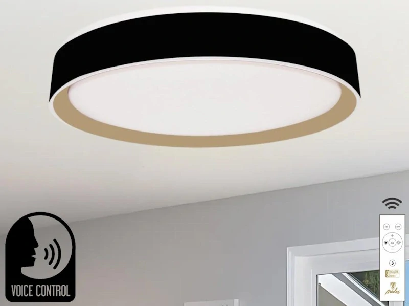 LED stropná lampa OPAL + DO + OVLÁDANIE HLASOM 48W - LC902MBV