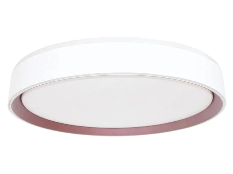LED stropná lampa OPAL + DO + OVLÁDANIE HLASOM 48W - LC902MV