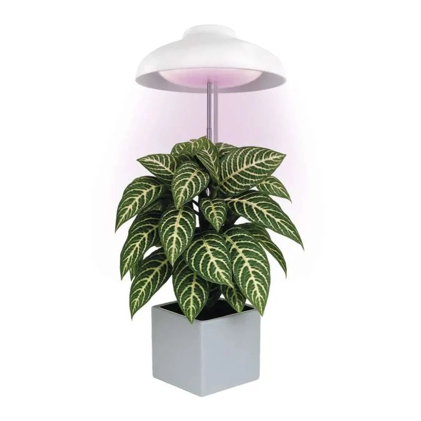 LED GROW pestovateľská lampa 5 W, časovač, biela