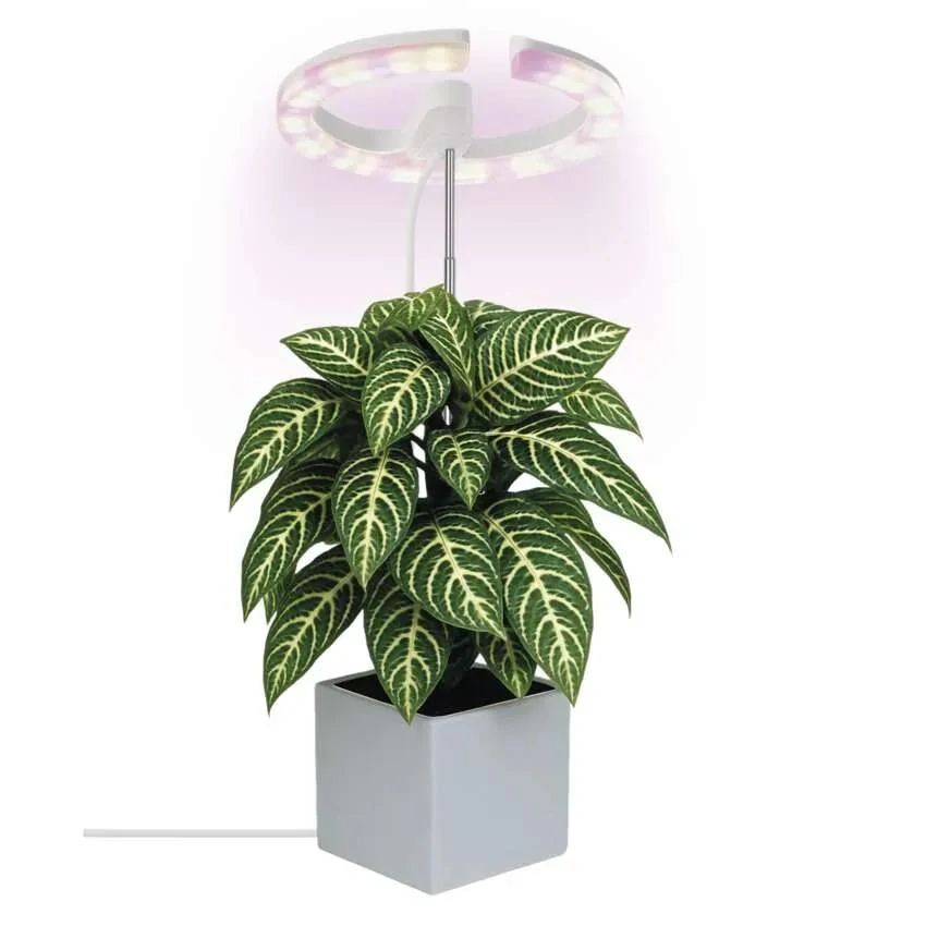 LED GROW pestovateľská lampa 8 W, časovač, stmievateľná, biela