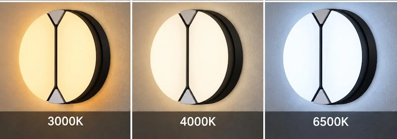 LED vonkajšie nástenné svietidlo ALBION, 20 W, 20 × 3,7 cm, IP65, čierne