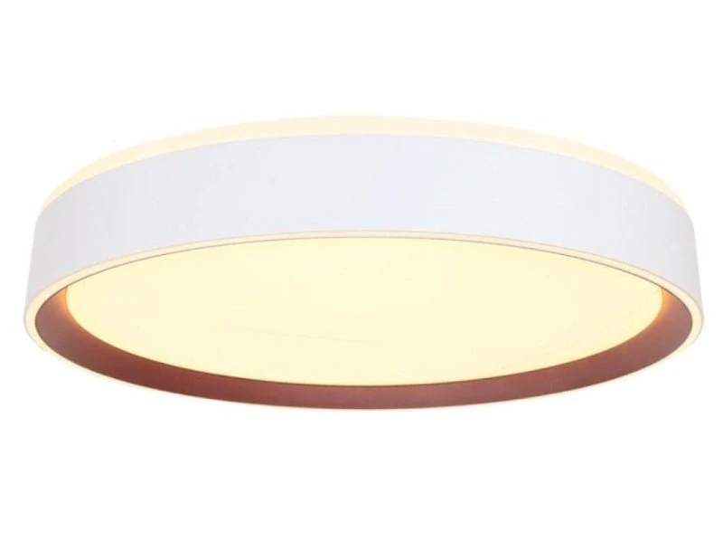 LED stropná lampa OPAL + DO + OVLÁDANIE HLASOM 48W - LC902MV